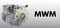 piese motoare mwm