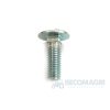 Surub 10x30