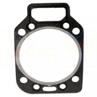 Garnitura chiuloasa Fendt Garnituri  Motor