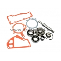 Kit reparatie pompa apa Massey Ferguson