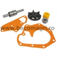 Kit reparatie pompa apa John Deere