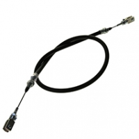 CMB41310