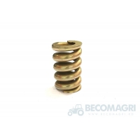 Arc compresie 800444.01