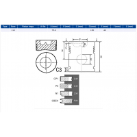 Piston cu segmenti VARIANTA MARE Fiat