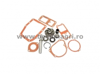 Kit reparatie pompa apa Massey Ferguson