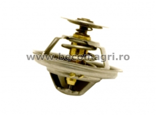 Termostat Massey Ferguson