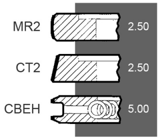 Segmenti piston Landini