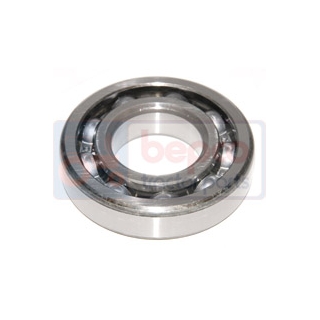 Necatalogate  Ford