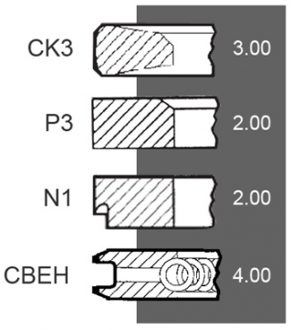 Segmenti Motor MWM Renault