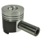 CM54/33-255BC