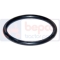 Oring Fuzeta punte 02371809, 3146701R1, L37752,