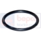 Oring Fuzeta punte 02371809, 3146701R1, L37752,