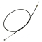CMB41339