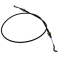 CMB41351