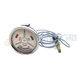 Sonda temperatura cu ceas Ford Sonda temperatura cu ceas Ford