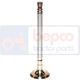 Necatalogate  Fiat Necatalogate  Fiat