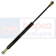 Cilindru gaz 70/870-560 Cilindru gaz 70/870-560