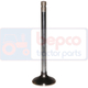 Necatalogate  Ford Necatalogate  Ford