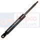 Necatalogate  Fiat Necatalogate  Fiat