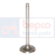 Supapa admisie tractor Massey Ferguson 31431281  732811M1