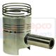 CM32/S305000 CM32/S305000