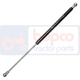 CM54/872-78 CM54/872-78