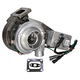 CMB41908 CMB41908
